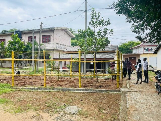 Home Gardening at Vavuniya District Secretariat-25.08.2022